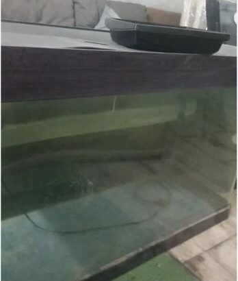 حوض سمك كبير