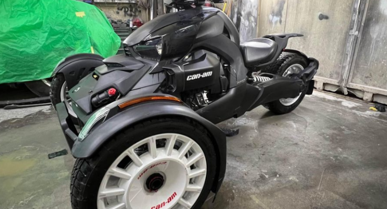 Can Am Ryker Rally Edition 900 2022 For Sale