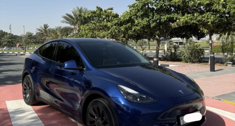 Tesla model y long range 2022 Gcc for sale
