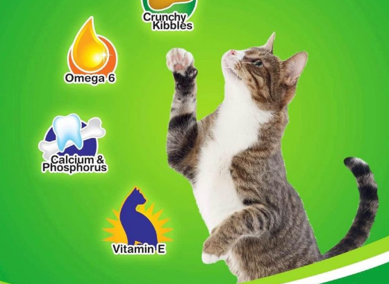 KiteKat 7 kgs cat food For Sale