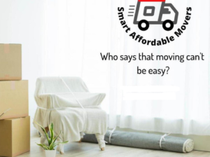 PROFESSIONAL MOVERS AND PACKERS