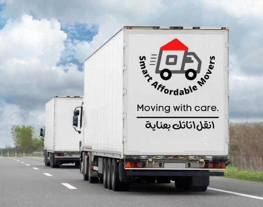 PROFESSIONAL MOVERS AND PACKERS