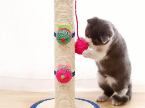 Scratch post for small cats and kittens for sale