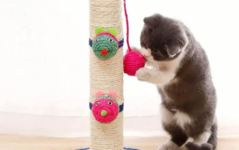 Scratch post for small cats and kittens for sale