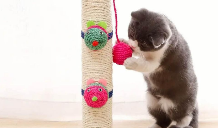 Scratch post for small cats and kittens for sale