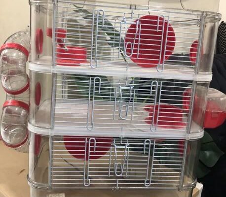 Red Hamster Cage 3 Level for sale