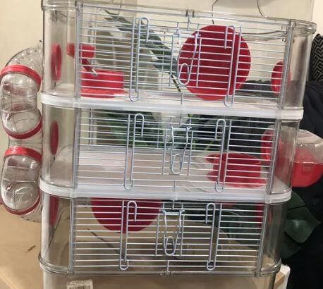 Red Hamster Cage 3 Level for sale