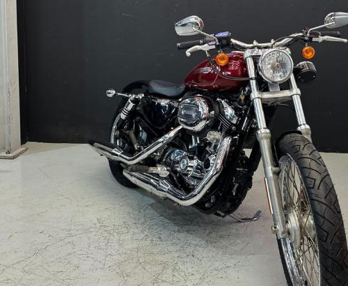 Harley-Davidson sporster 2010 1200 custom for sale