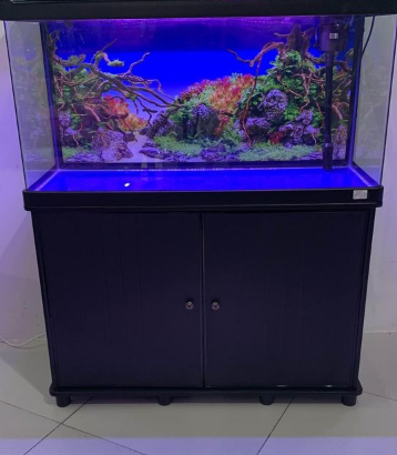 Brand New Aquarium 100Cm For Sale