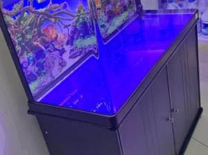 Brand New Aquarium 100Cm For Sale