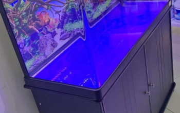 Brand New Aquarium 100Cm For Sale