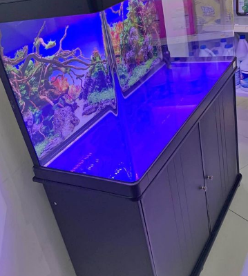 Brand New Aquarium 100Cm For Sale