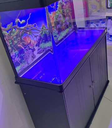 Brand New Aquarium 100Cm For Sale