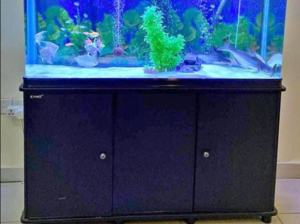 Fish Aquarium 120Cm For Sale