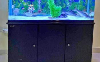 Fish Aquarium 120Cm For Sale