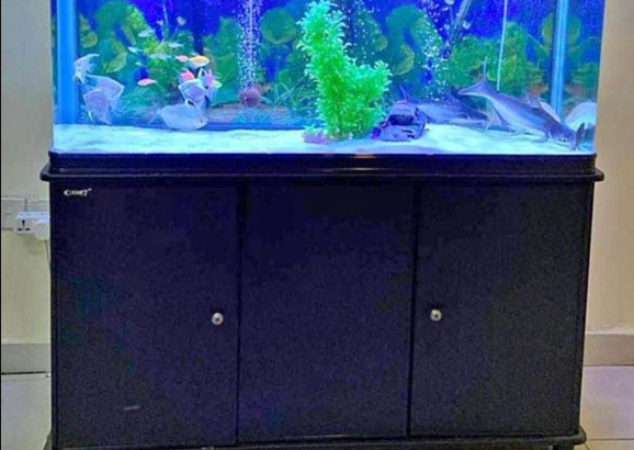Fish Aquarium 120Cm For Sale