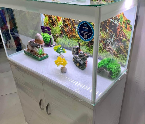 Fish Aquarium 80Cm For Sale