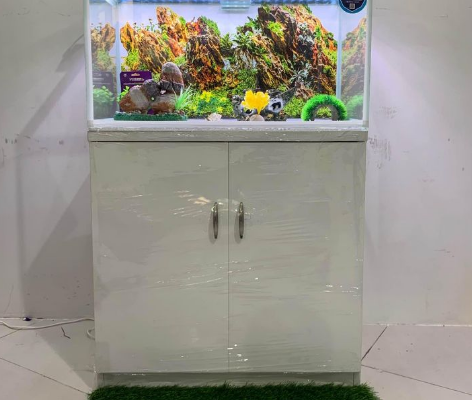 Fish Aquarium 80Cm For Sale