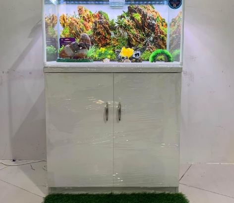 Fish Aquarium 80Cm For Sale