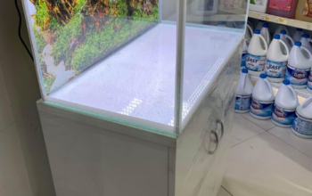 Fish Aquarium 80Cm For Sale