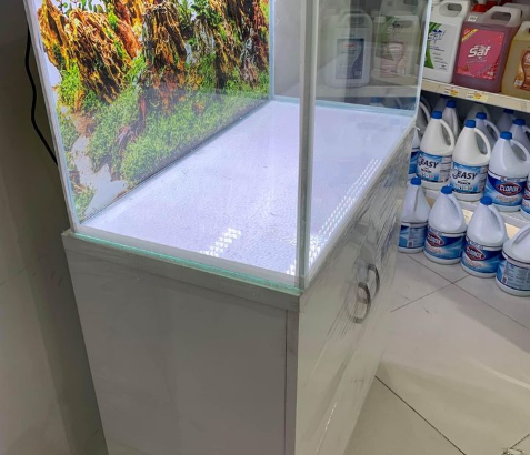 Fish Aquarium 80Cm For Sale