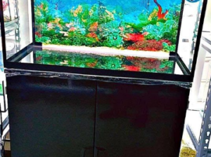 Aquarium 80cm Glass For Sale