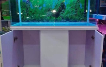 Aquarium 90cm For Sale