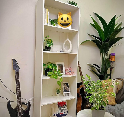 Bookcase for sale