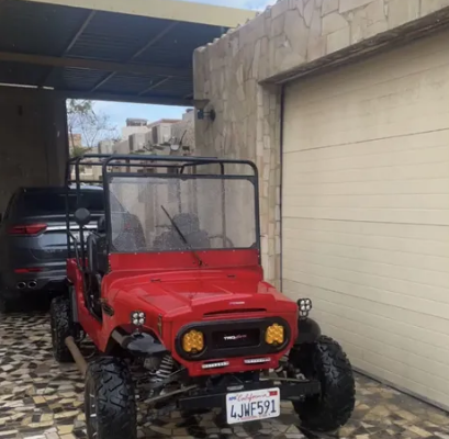 Buggy 320cc For Sale