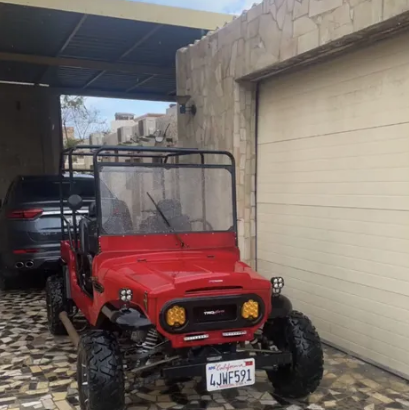 Buggy 320cc For Sale