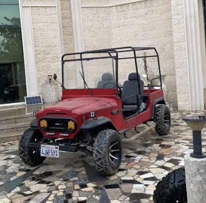 Buggy 320cc For Sale