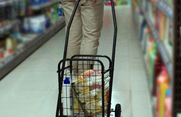 Heavy Duty Portable Folding Shopping Utility Cart
