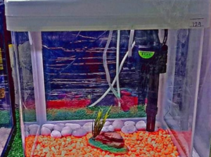 Galaxy fiber Aquarium For Sale