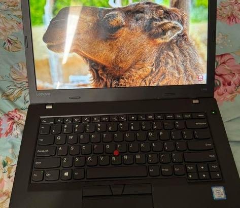 Lenovo thinkpad 8gb ram For Sale