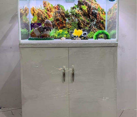 Fish Aquarium 80Cm For Sale