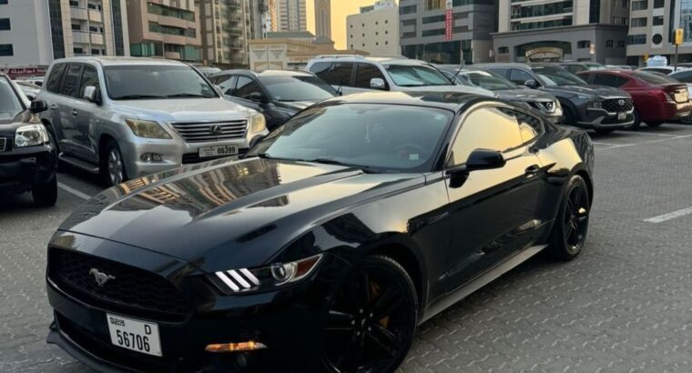 Ford Mustang Ecoboost 2016 Premium 2016 USA import