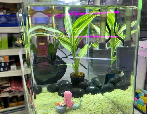 Smart Aquarium with decorate For Sale