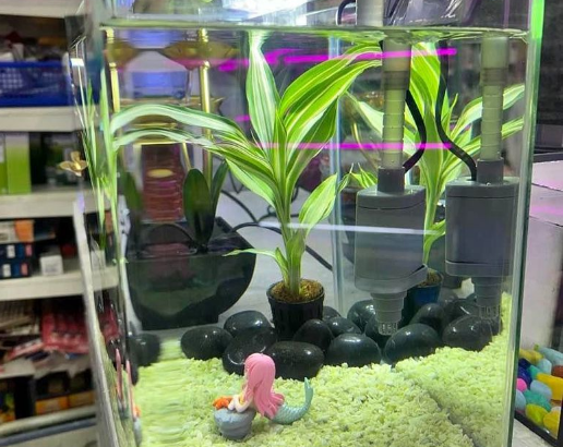 Smart Aquarium with decorate For Sale