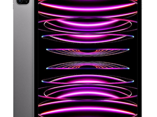 iPad Pro (6th Gen) M2 12.9 inch Space Gray For Sal
