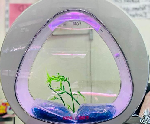 Sun sun triangle Aqaurium For Sale