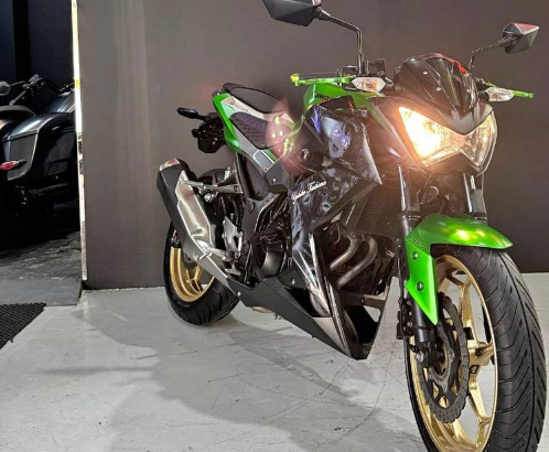 Kawasaki z 2017 For Sale