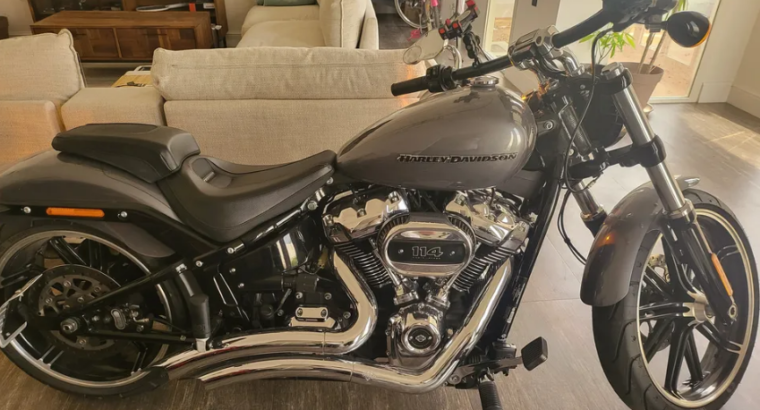 Harley davidson softail breakout 2022 For Sale