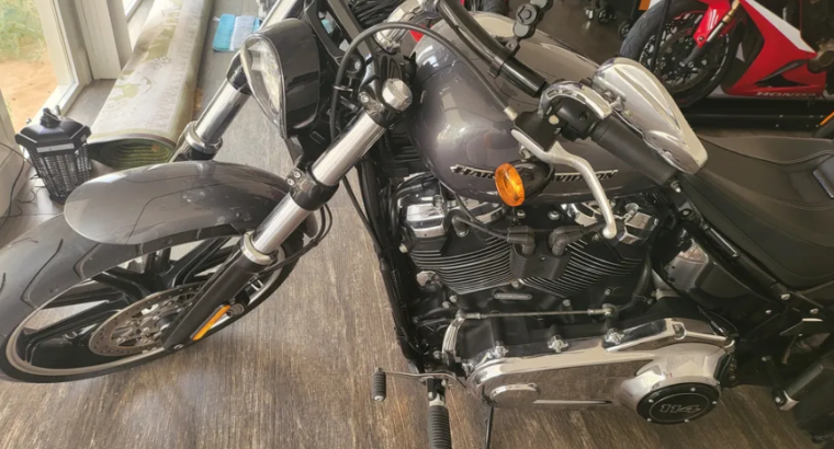 Harley davidson softail breakout 2022 For Sale