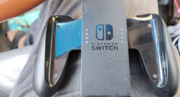 OEM Nintendo Switch Joy-Con Standard Grip HAC-011