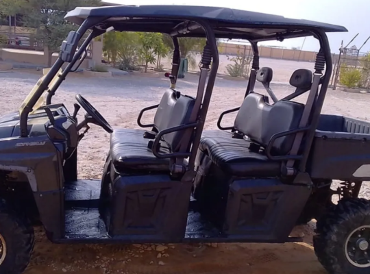 Polaris Ranger XP800 Crew 2011 For Sale