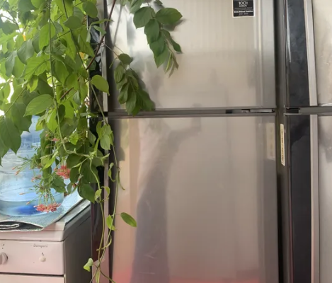 Nikai refrigerator for sale