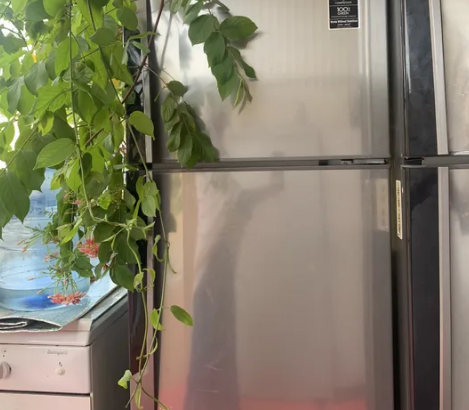 Nikai refrigerator for sale