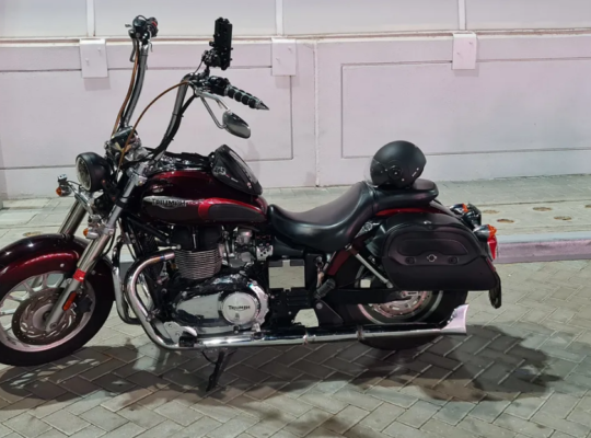 triumph america 2014 for sale