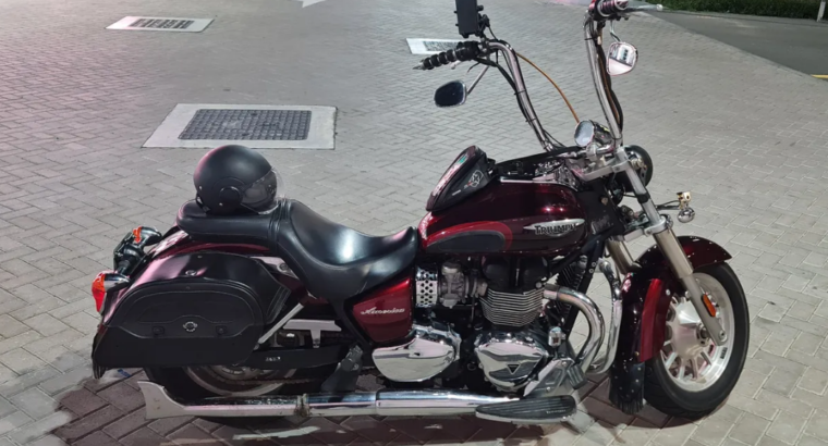 triumph america 2014 for sale
