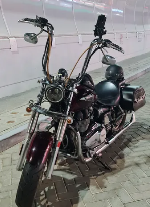 triumph america 2014 for sale